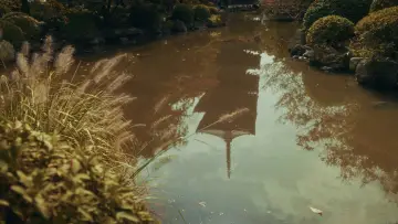Backdrop to the movie "Streets of Japan" #563241