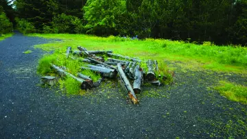 Backdrop to the movie "Between The Living & The Dead, The Lovers Reside" #558800