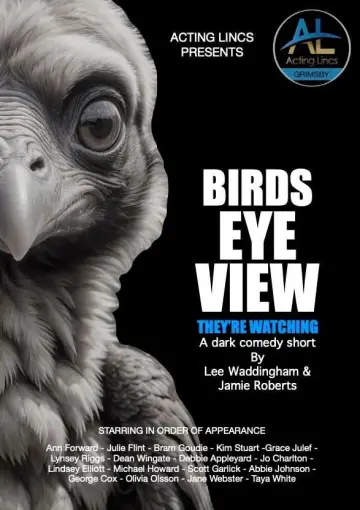 Poster to the movie "Birds Eye View" #573930
