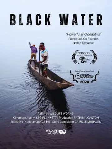 Poster to the movie "Black Water" #802699