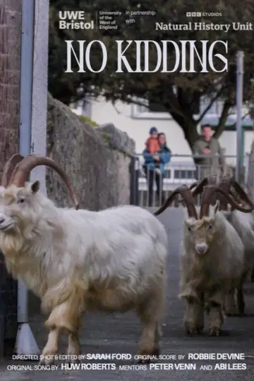 Poster to the movie "No Kidding" #802741