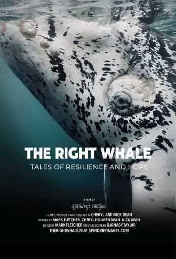 Poster to the movie "The Right Whale" #878626