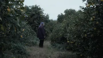 Backdrop to the movie "Healers, Midwives, Witches" #1140147