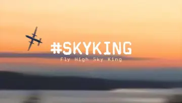 Backdrop to the movie "#SKYKING" #843738