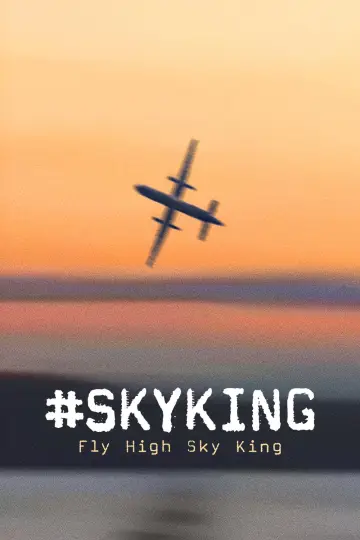 Poster to the movie "#SKYKING" #843742