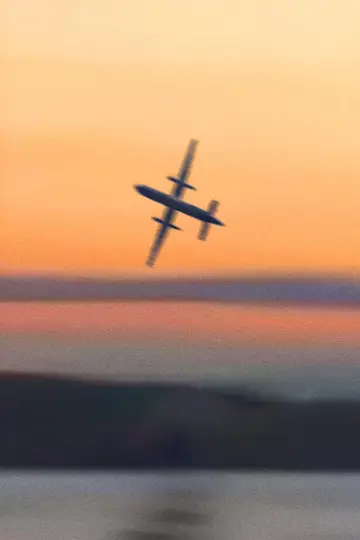 Poster to the movie "#SKYKING" #843744