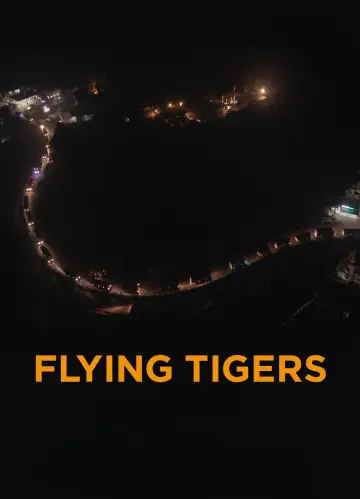 Poster to the movie "Flying Tigers" #1139512
