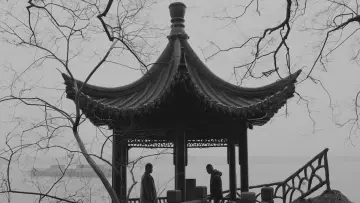 Backdrop to the movie "Panda" #539001