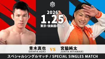 Backdrop to the movie "DDT Mission in Battle ~new year splendor~" #552593