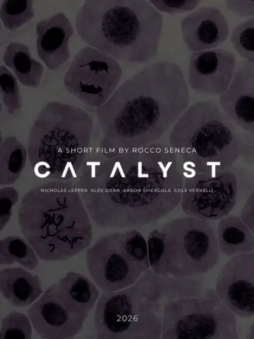 Poster to the movie "Catalyst" #547524