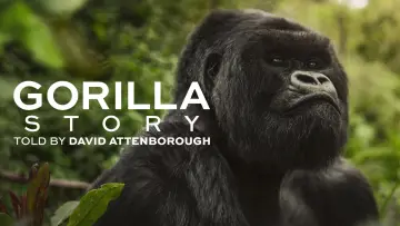 Backdrop to the movie "A Gorilla Story: Told by David Attenborough" #832783