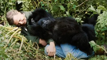 Backdrop to the movie "A Gorilla Story: Told by David Attenborough" #832787