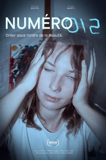 Poster to the movie "NUMÉRO 12" #544682