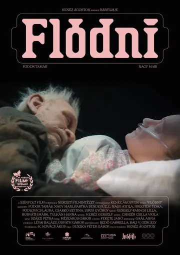 Poster to the movie "Flódni" #974801