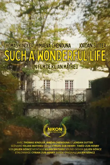 Poster to the movie "Such a WonderFul Life" #571064