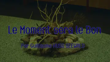 Backdrop to the movie "Le Moment sera le Bon" #1204405