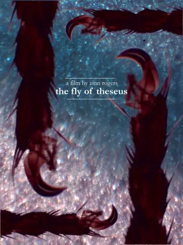 Poster to the movie "The Fly of Theseus" #569516