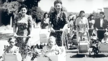 Backdrop to the movie "Les survivants, l