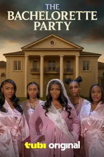 Poster to the movie "The Bachelorette Party" #544132