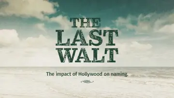 The Last Walt poster