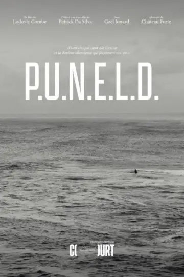 Poster to the movie "P.U.N.E.L.D." #552243