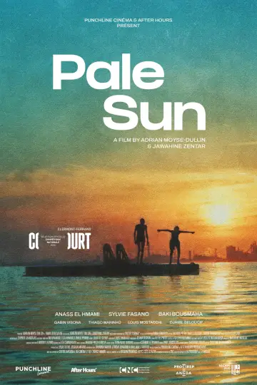 Pale Sun poster