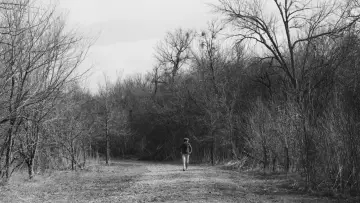 Backdrop to the movie "The Trail" #1139565