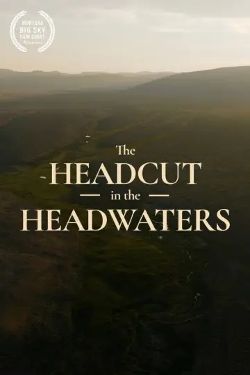 Poster to the movie "Restoring the Headwaters" #801683