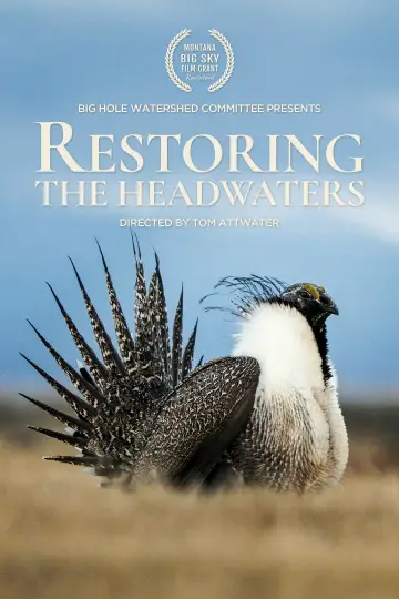 Poster to the movie "Restoring the Headwaters" #801684
