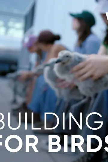 Poster to the movie "Wild Hope: Building for Birds" #803349