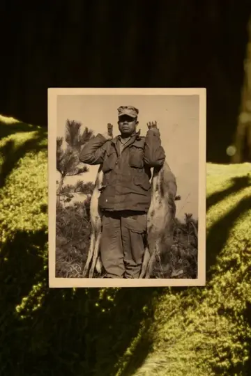 Poster to the movie "Buckskin" #777442