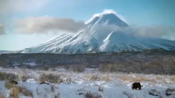 Backdrop to the movie "Royaumes d