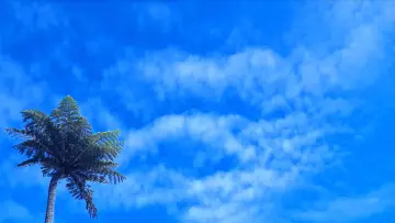 Backdrop to the movie "Sunburn" #575191