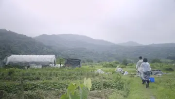 Backdrop to the movie "The Cow Caretaker" #970791