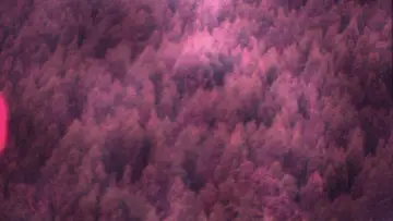 Backdrop to the movie "Travelers