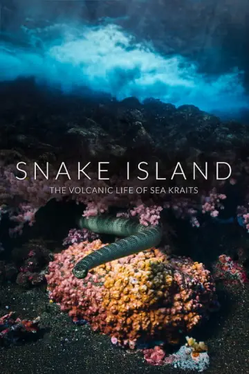 Poster to the movie "Snake Island: The Volcanic Life of Sea Kraits" #803337