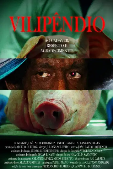 Poster to the movie "Vilipêndio" #1166811
