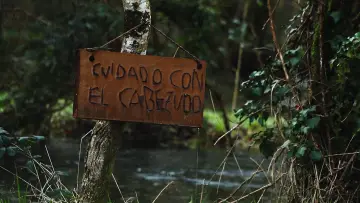 Backdrop to the movie "El Cabezudo" #964777