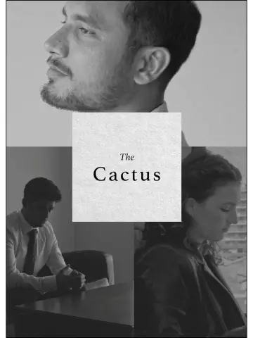 Poster to the movie "The Cactus" #1649095