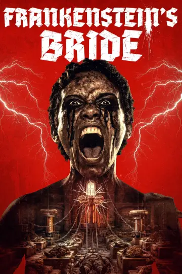 Poster to the movie "Frankenstein