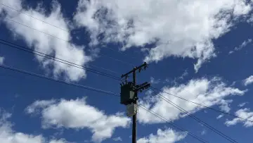 Backdrop to the movie "A Suburban Drone" #930003