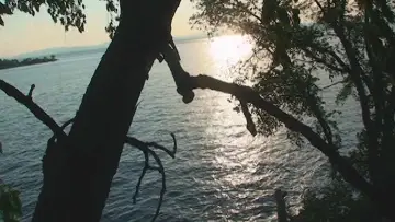 Backdrop to the movie "Sol Garden" #778667