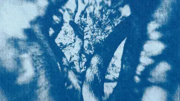 Backdrop to the movie "Farewell, My Tree" #782128
