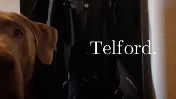 Backdrop to the movie "Telford." #770409