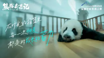 The Panda Adventure poster