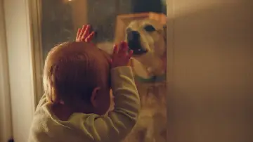 Backdrop to the movie "Good Dog" #776209