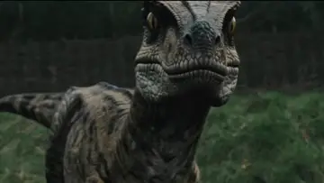 Backdrop to the movie "Raptor Attack" #954881
