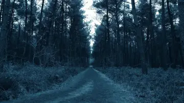 Backdrop to the movie "Void Madness" #777981