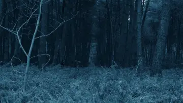 Backdrop to the movie "Void Madness" #777986
