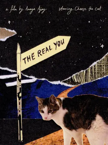 Poster to the movie "The Real You" #781654